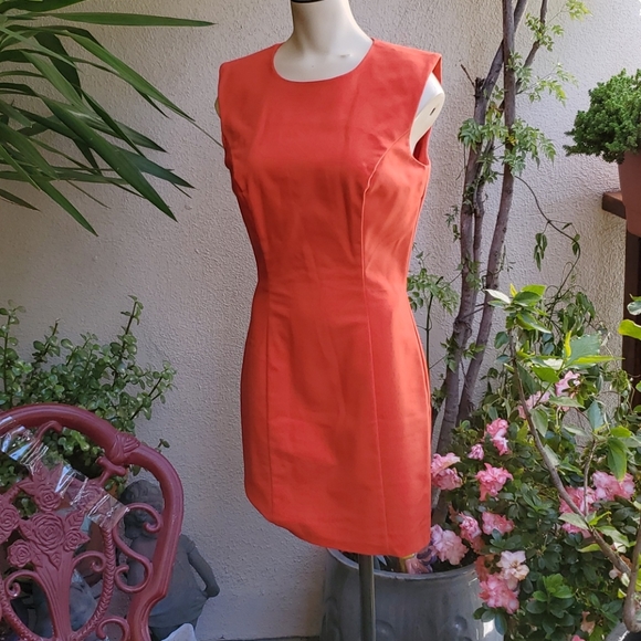 French Connection A-Line Dress with rounded neck - Picture 6 of 13
